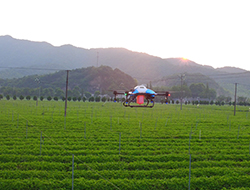 AGR lanza una cooperación amistosa con el Instituto de investigación del té de China